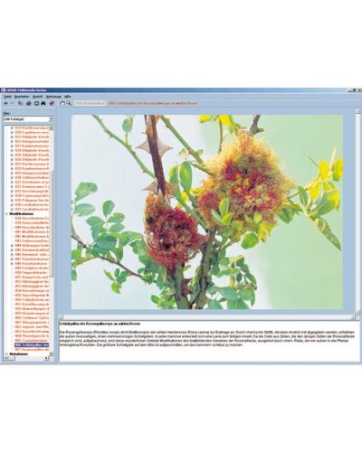 Crop Pests and Controls, Interactive CD-ROM